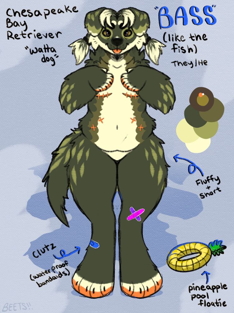 Ref sheet of Bass :3c 
