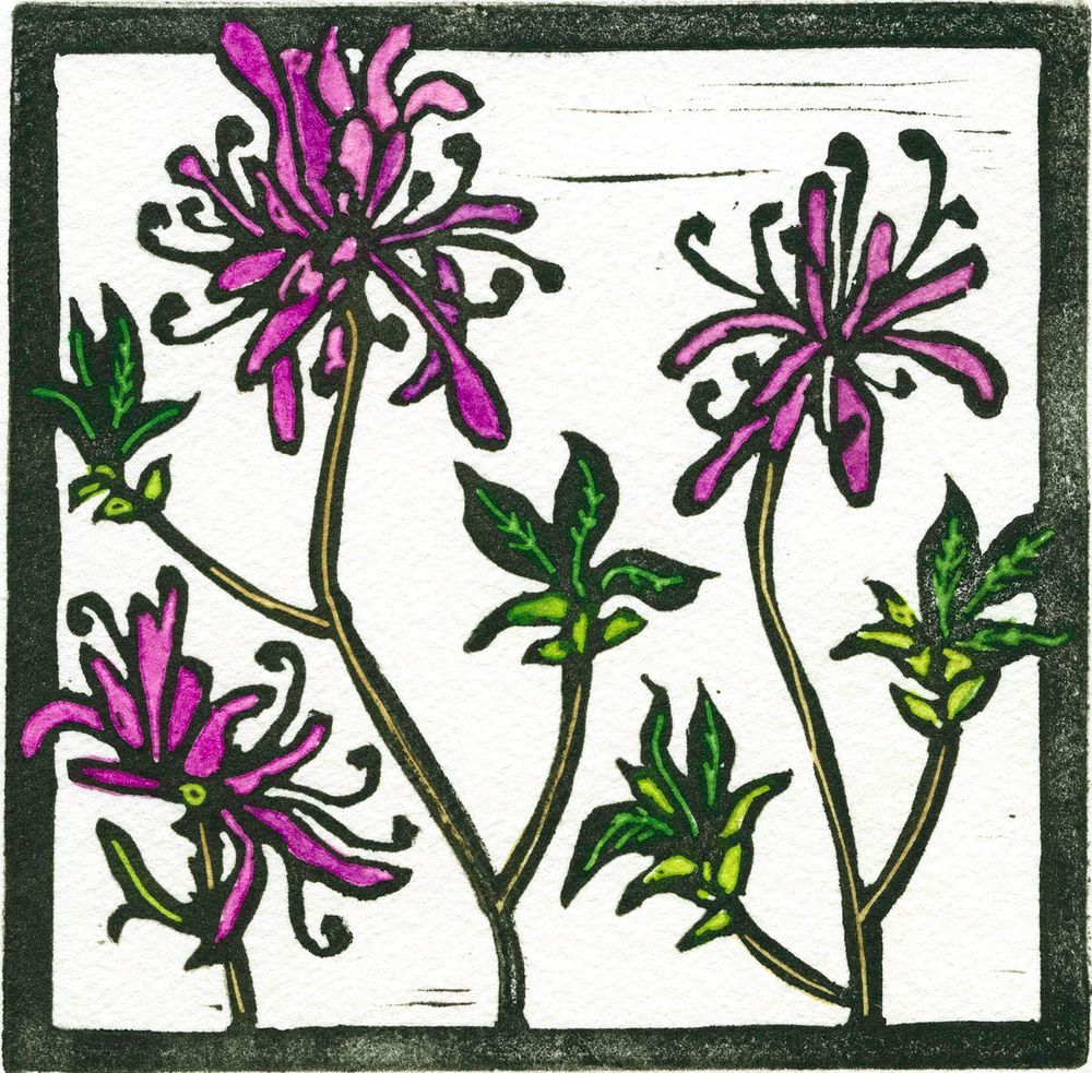 Print from lino cut showing 3 large pink-purple flowers on 3 stems. Bright green and dark green leaves are smaller. White background with grey border.