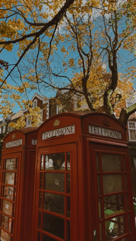 Two traditional red British telephone boxes standing side by side beneath autumn trees with golden leaves. Behind them are classic brick buildings with white-trimmed windows, set against a bright blue sky.