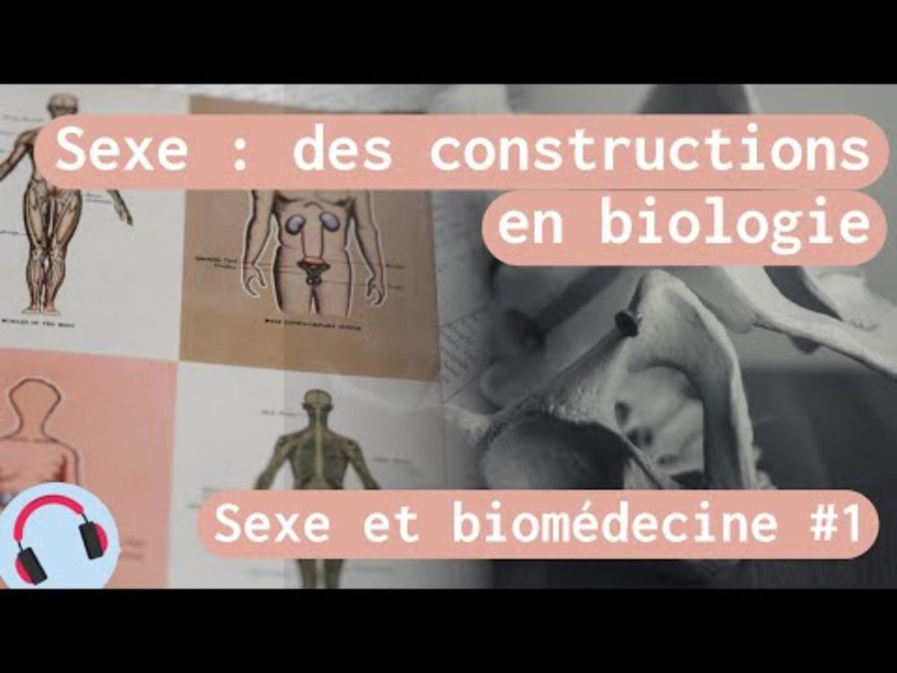 Sexe et biomédecine #1 : Sexe : des constructions en biologie