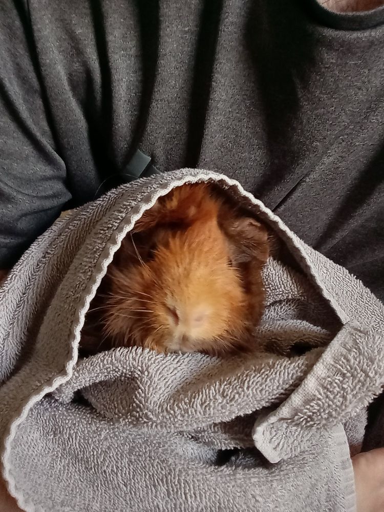 Knuckles after taking his medicine