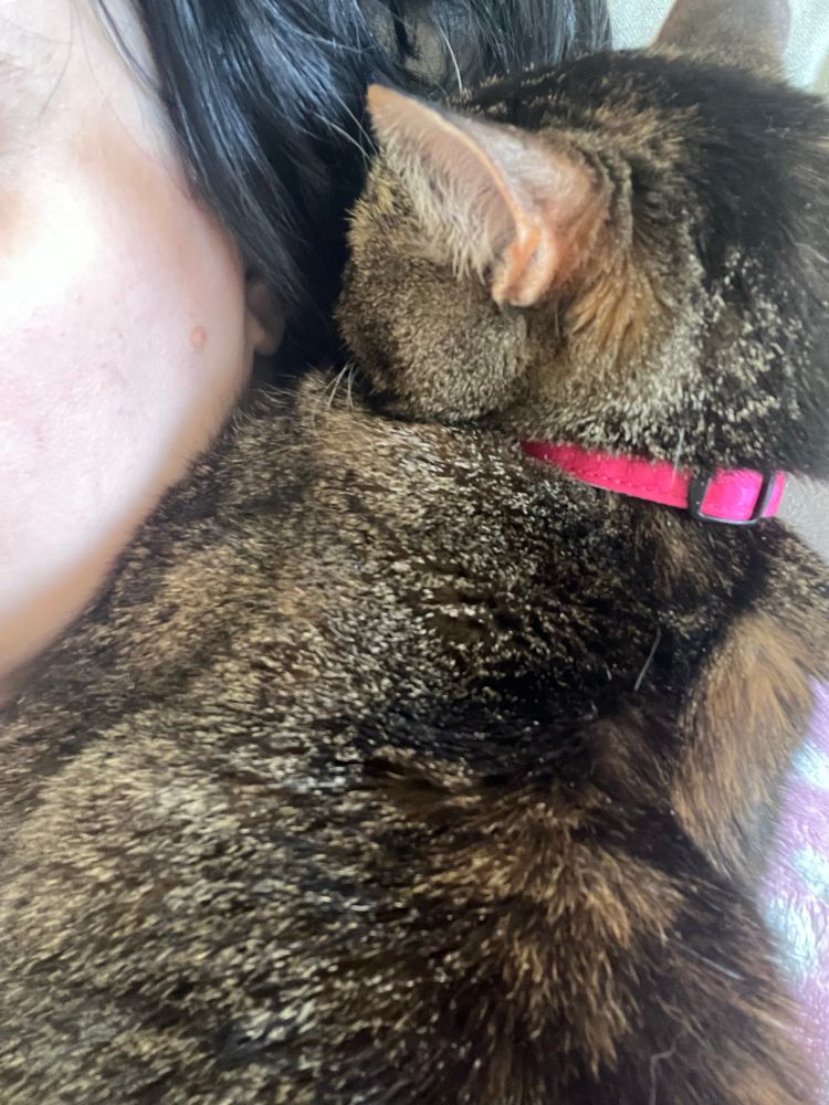 My cat, Cupcake— sitting next to my ear and purring.