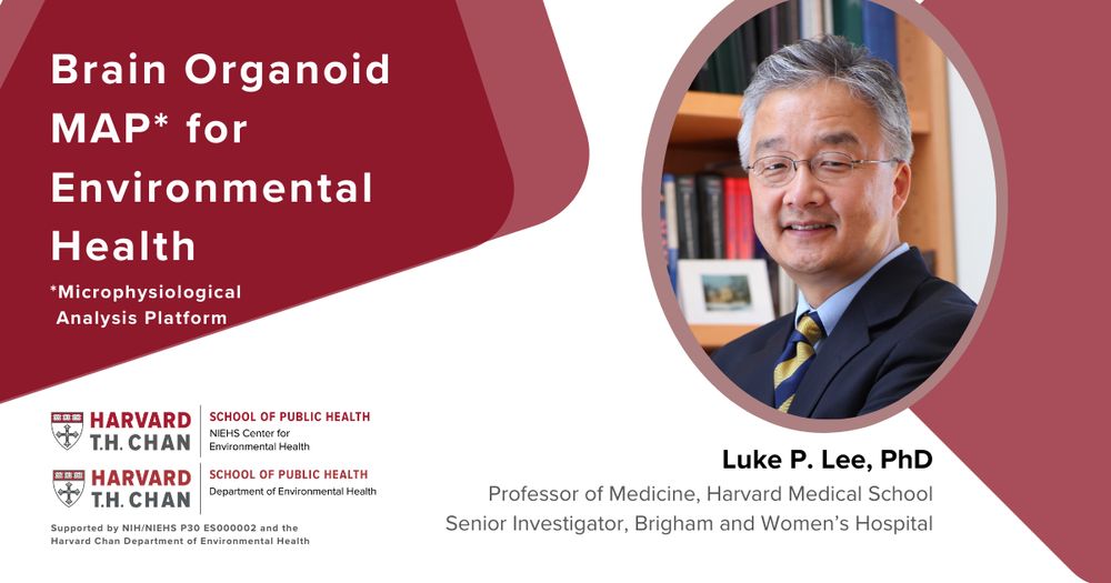 Luke P Lee seminar on Brain Organoid MAP for Environmental Health