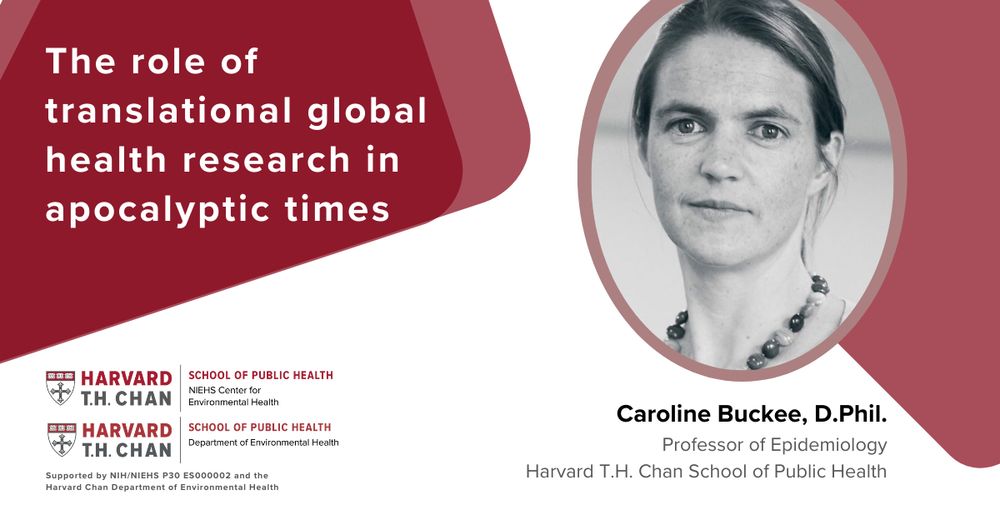 Caroline Buckee lecture image: The role of translational global health research in apocalyptic times.