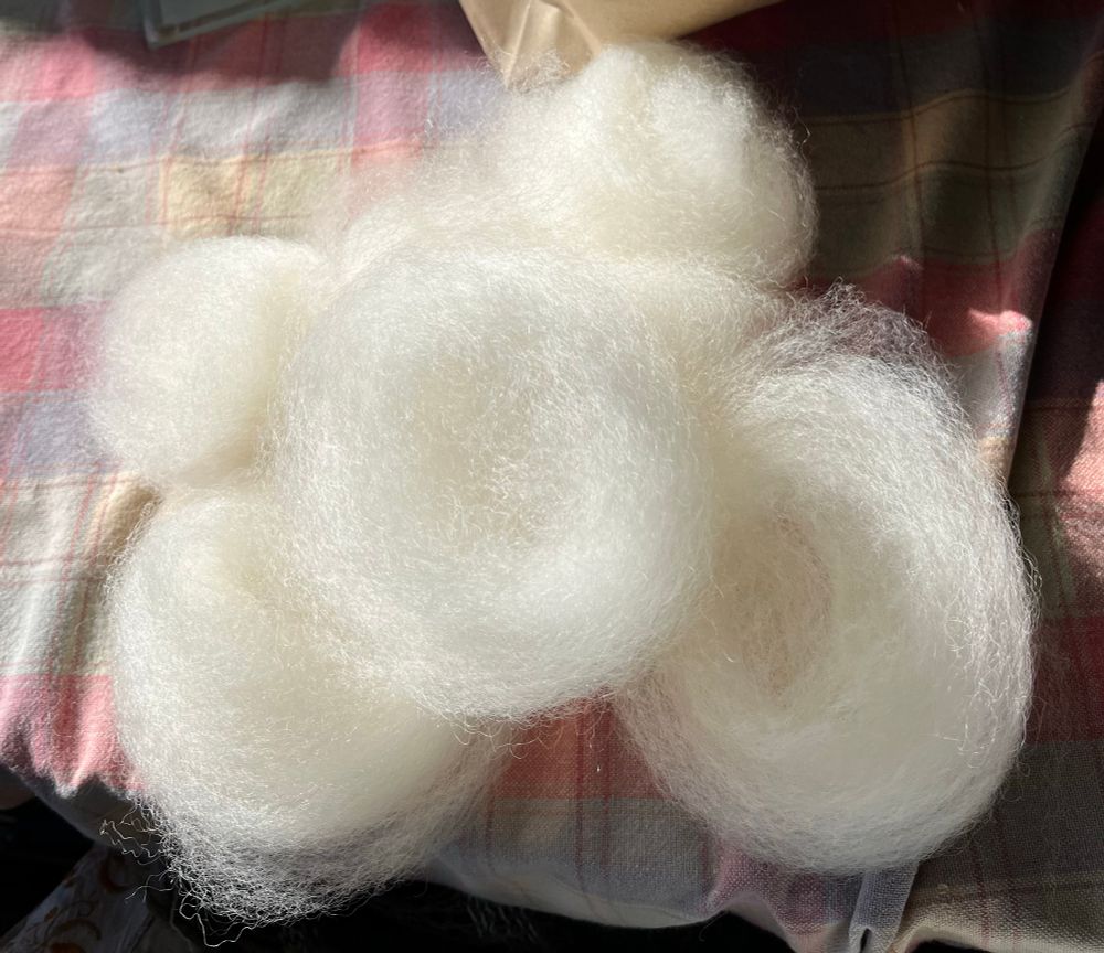 Photo of a small pile of white woollen floof balls.