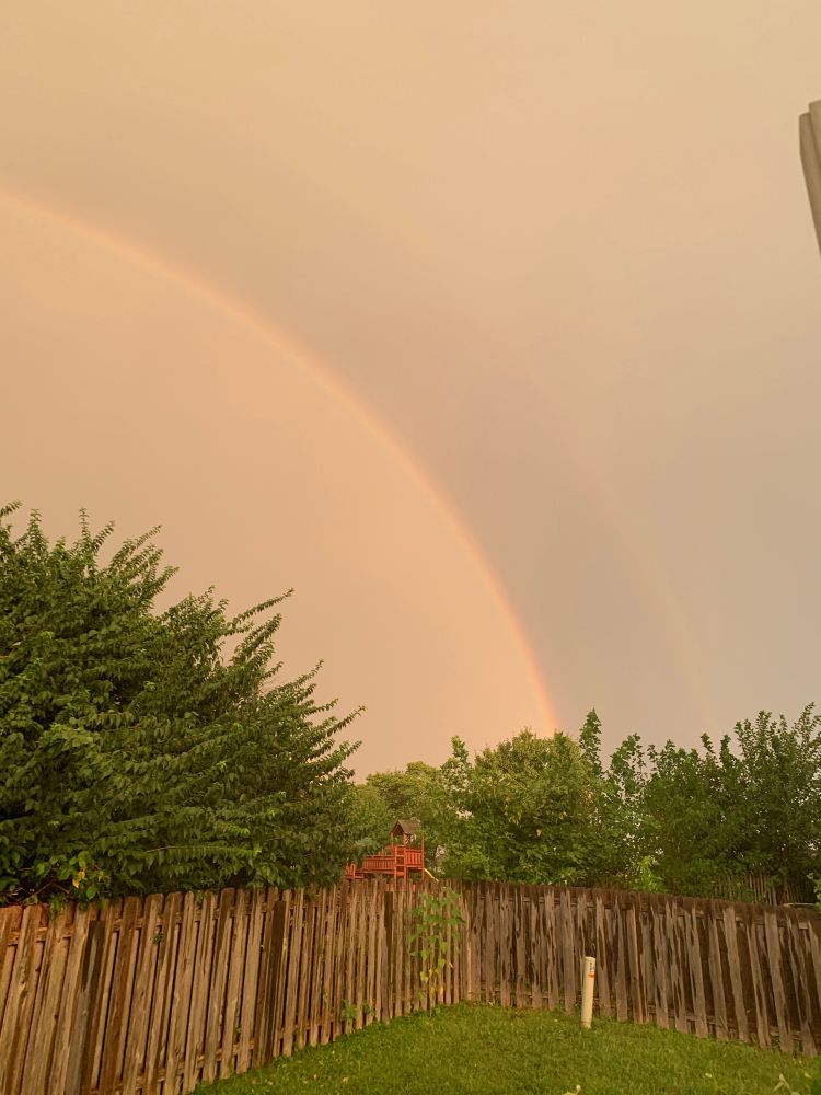 A photo of a fenced back yard framed by trees with a brilliant primary rainbow and a faint second rainbow above it in a flat gray sky.