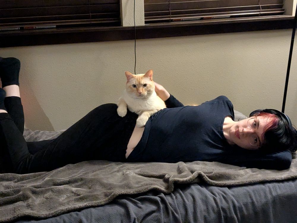 Amethyst-szs laying in bed with Pear the cat laying over them