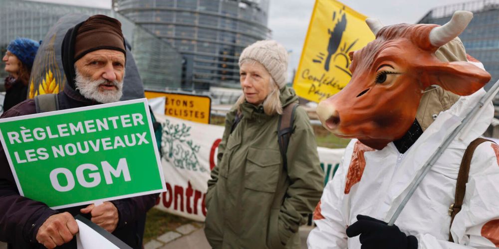 « Sur l’environnement, le divorce entre la Macronie et la communauté scientifique est désormais consommé »