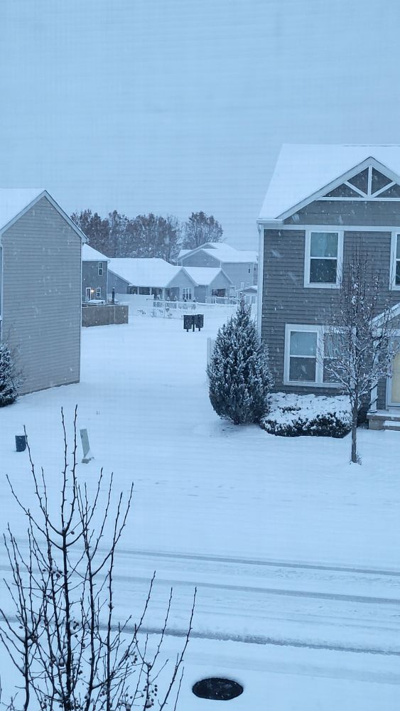 A picture showcasing a suburban neighborhood as snow falls and coats the ground