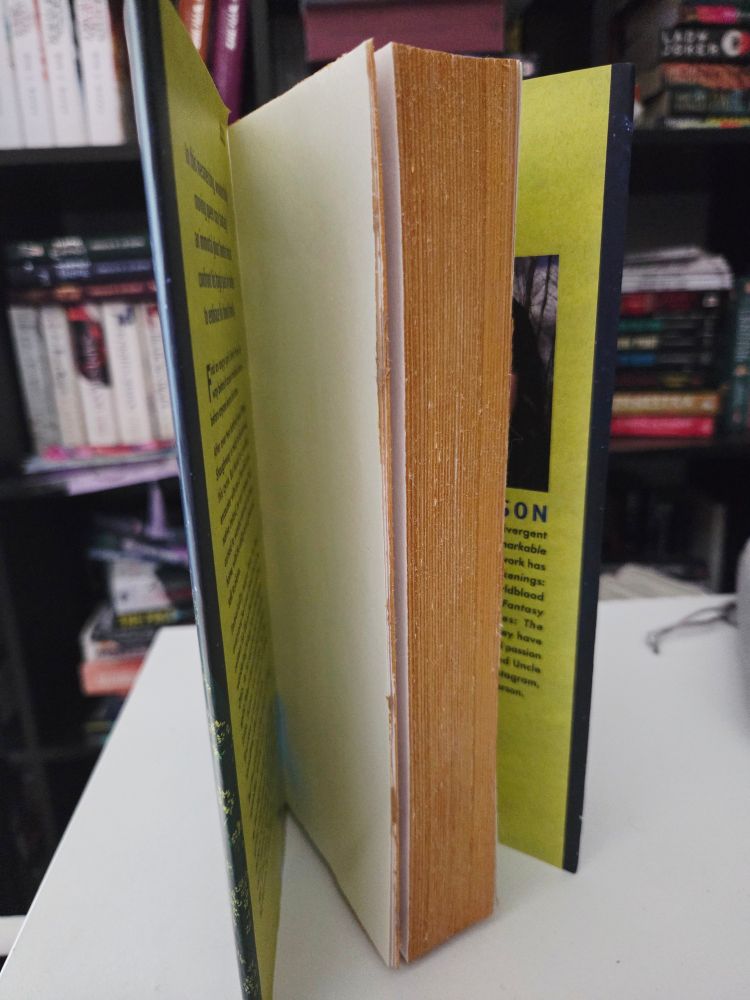 Hardback copy of E.M. Anderson's The Keeper of Lonely Spirits. The golden painted edges are on display.