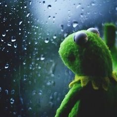 A close-up image of Kermit the Frog from the chest up, looking out a window that is covered in raindrops. The background is blurred and dark, and Kermit appears to be in a melancholic or contemplative mood.