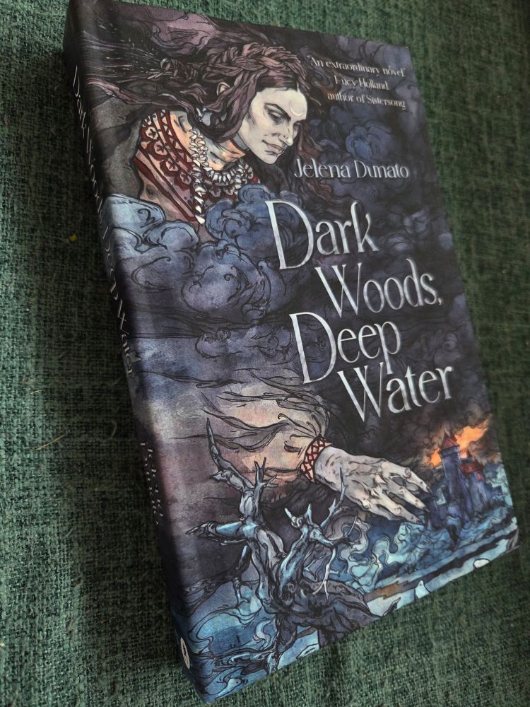The naked hardbacl for Jelena Dunato's Dark Woods, Deep Waters. Jesus, it's beautiful. It's fucking beautiful. The quality is pristine, the art so sharp. A woman is depicted in a grand scale, reaching for a city from among a stormy cloudy sky. Surrounding the city, the dark, deep waters.