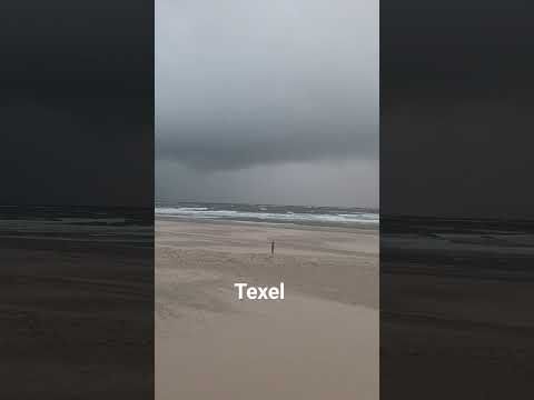 texel 2025