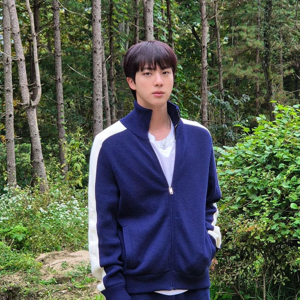 Jin of BTS in a blue zip-up jacket with a white tee, in the woods looking like a whole snack. 