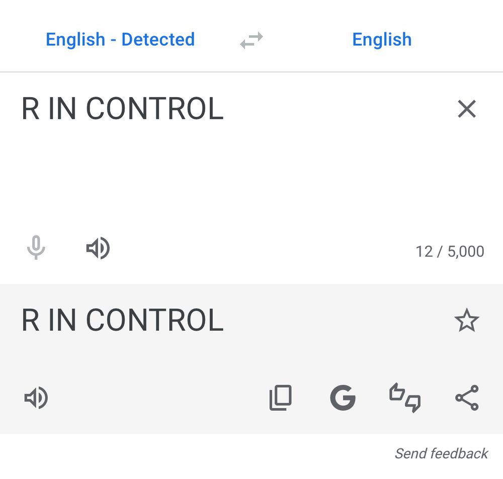 english to english google translation of “R IN CONTROL”
