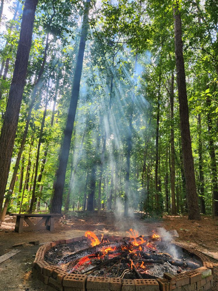Photo of a fire contained in an outdoor firepit in a wooded setting, sunlight is streaming through the green canopy and lighting up the wood smoke. 
