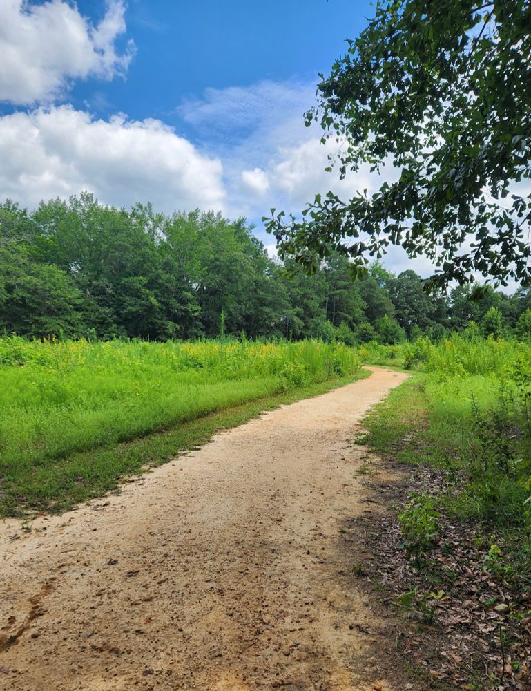 A ruddy clay trail passing through a green meadow full of yellow wildflowers. The sky is deep blue with fluffy clouds.
