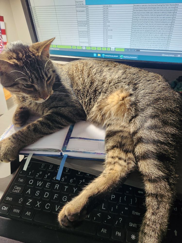 Photo of a grey tabby cat lying across a work desk preparing to nap, his back legs draped over the keyboard so that he can easily divert the OP from any serious work with his claws.