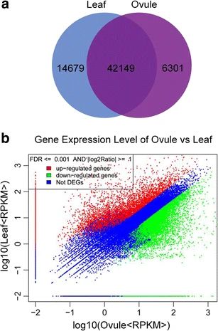 Venn diagram of Gingko genes expressed uniquely in leafs (14679), uniquely in ovules (6310), or expressed in both (42149).