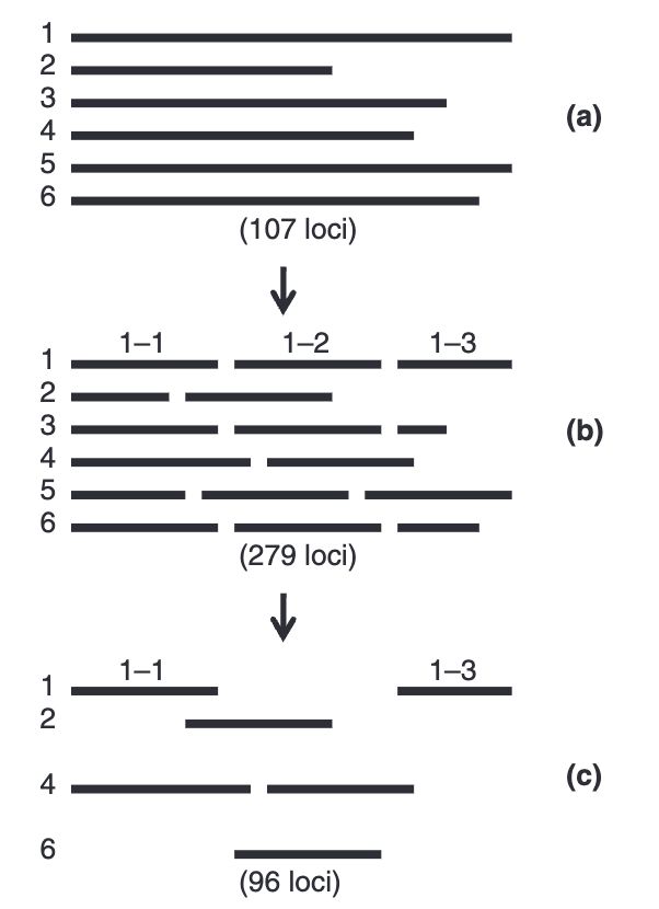 Flowchart illustrating the development and selection ofloci for re-sequencing in ringed seals. Initially, primer and refer-ence information for 107 loci varying in length from a few 100 tomore than 1000 bp was supplied by us to polymorphic, as repre-sented by locus 1–6 in (a). These 107 loci were split up in 279shorter loci of 200–300 bp in length, as illustrated in (b). Follow-ing primer design, optimization and quality control, these 279loci were reduced to 96 loci, as illustrated in (c). Note that amongthese ﬁnal 96 loci, some are located on the same initial locus andare thus known to be physically linked, e.g. 1-1 and 1-3 in (c).