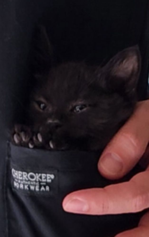 Mark with the tiny baby 