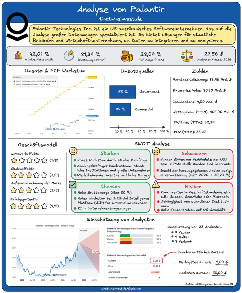 Analyse von Palantir