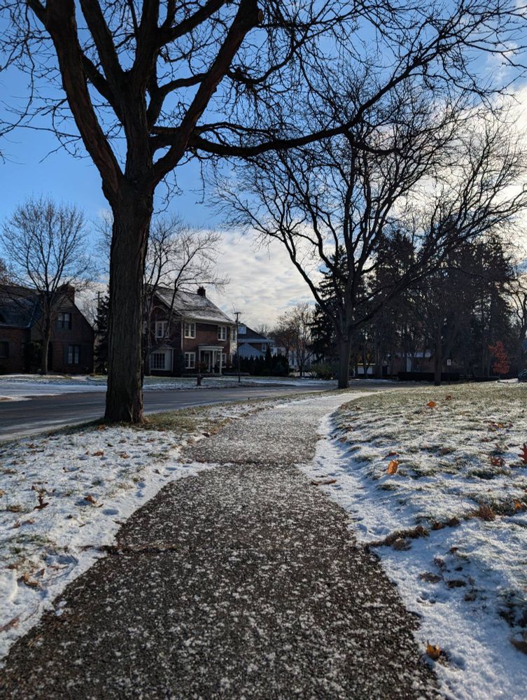 Snowy sidewalk with sunny skies above & bare trees