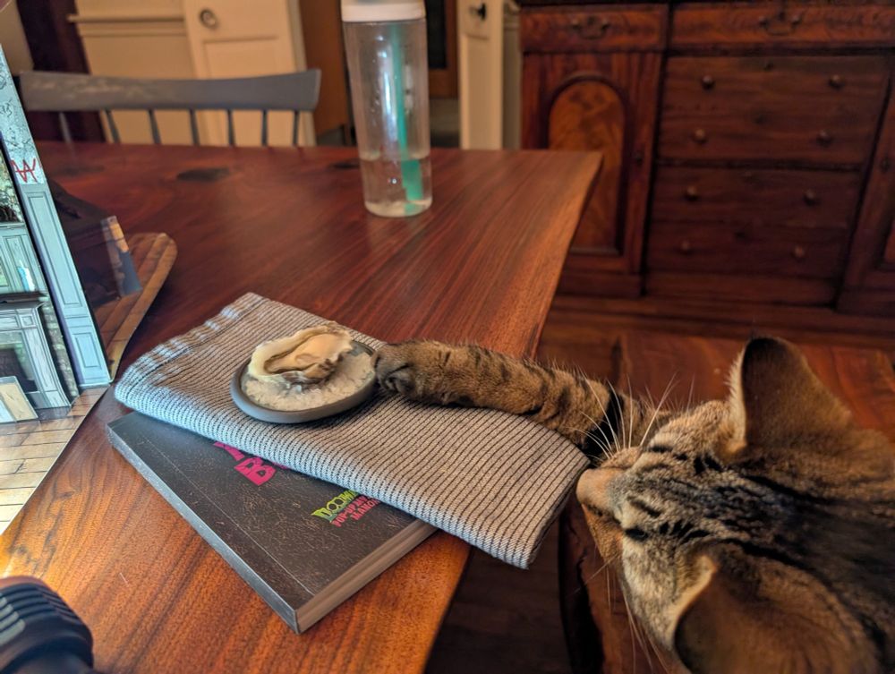 Same scene 5 seconds later, slightly different angle. Cat paw rapidly approaching oyster! True to her name, she is always ready for a snack. 