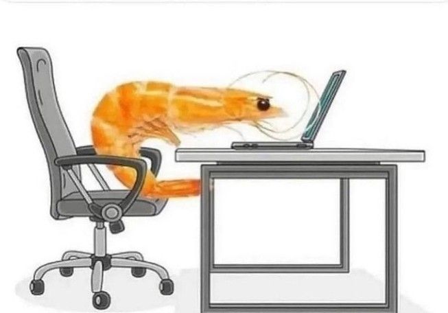the shrimp on a computer meme.
we see a greyscale drawn image of some office chair and table with terrible economics. in the chair is a shrimp, in color, having bad posture.