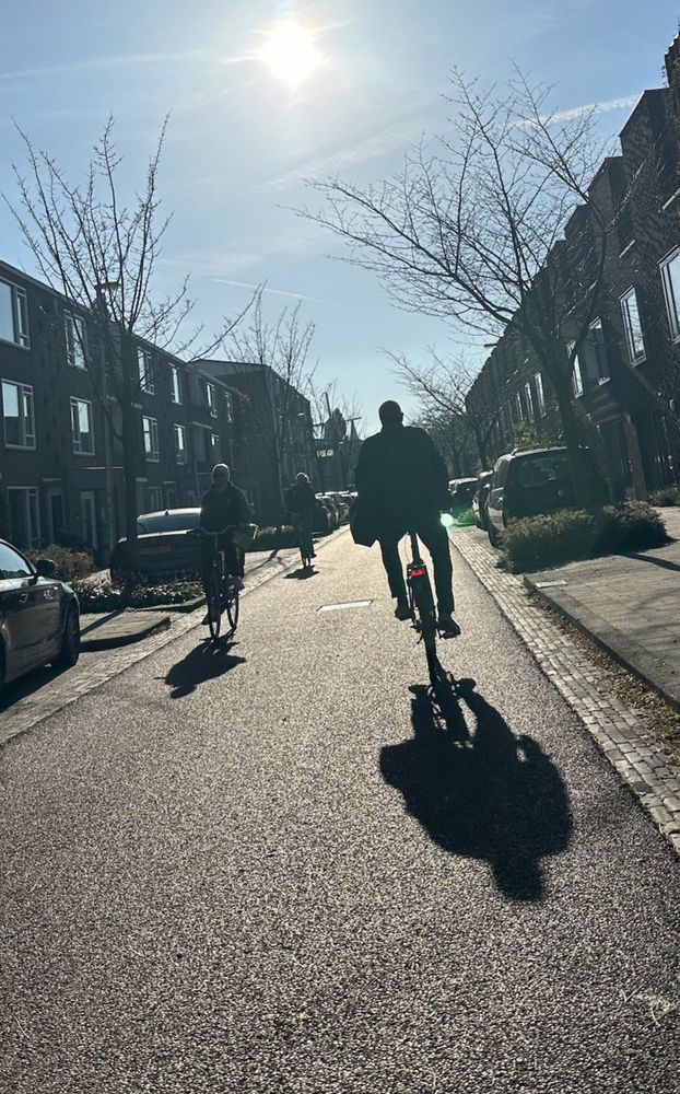 People on bikes in midafternoon sun on a fietspad in northern Utrecht. The trees have shed their leaves and the pavement is clear.