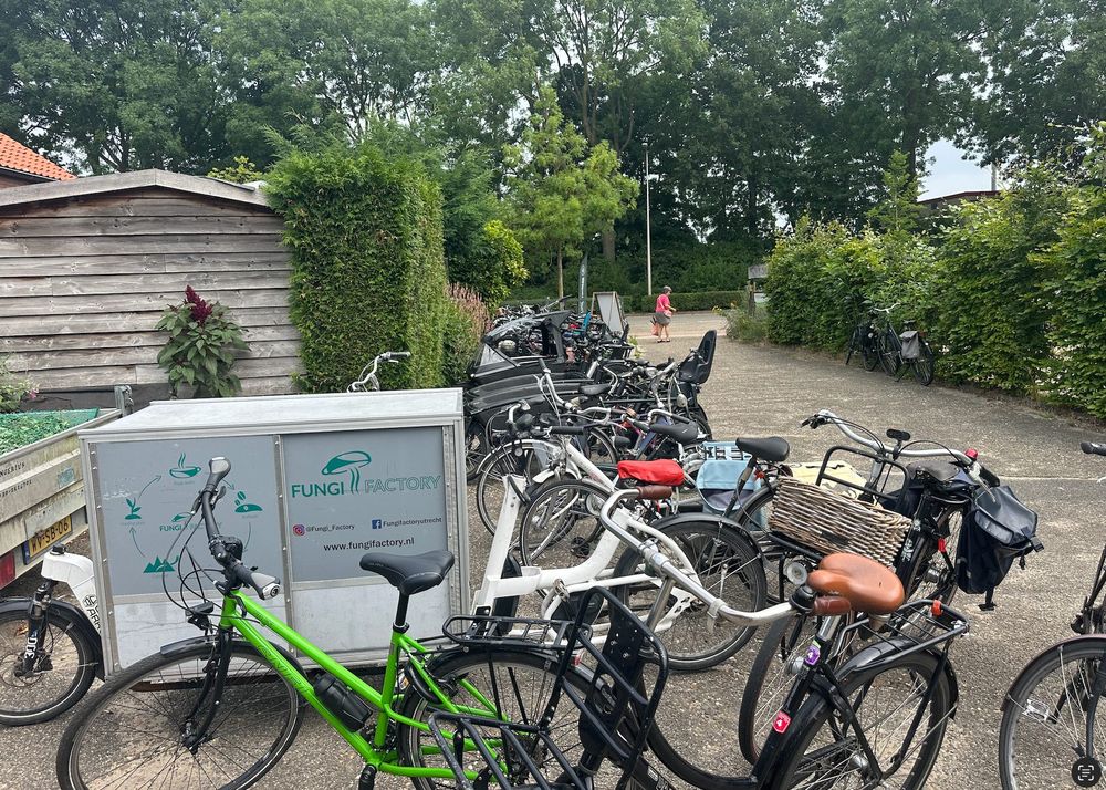Many bicycles including family cargo bikes and a vendor's bike that says "Fungi Factory". / Veel fietsen, waaronder bakfietsen voor het hele gezin en een verkoopfiets met de opdruk "Fungi Factory" erop.