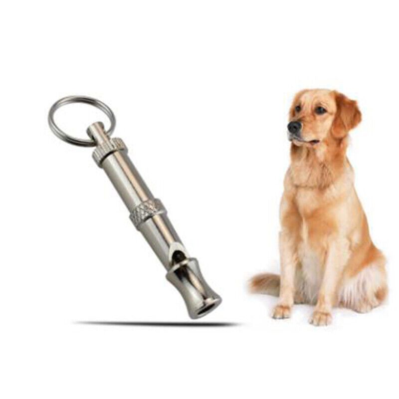 A dog and whistle. 