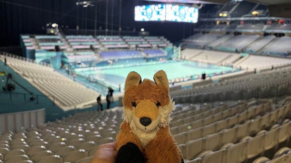 JO 2024 : la belle histoire de Doudou Renard, perdu au stade Pierre-Mauroy