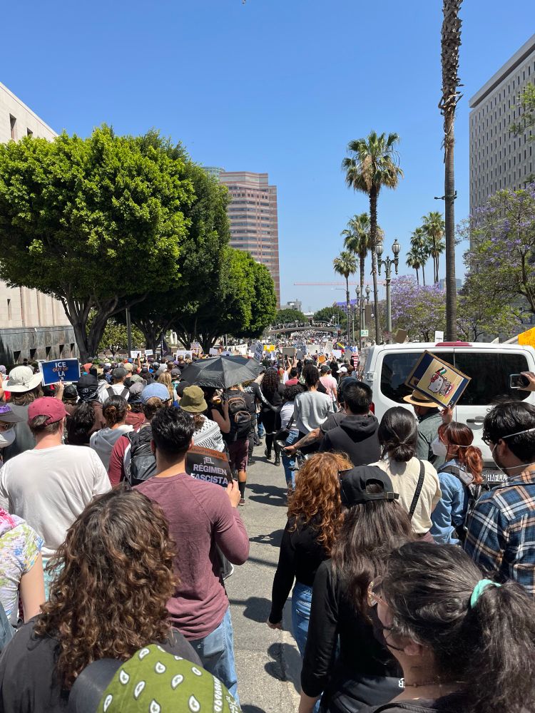hundreds of protesters flooding an LA street