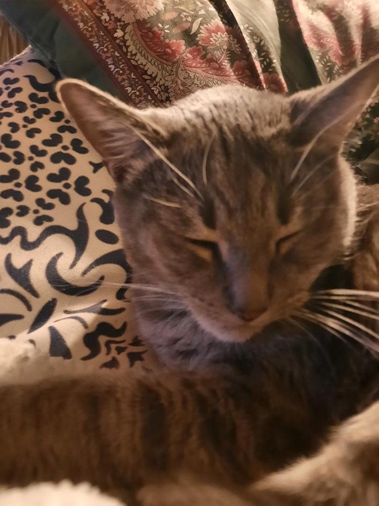 Good evening! The wind is roaring and rain is pelting so it is a great time to cuddle in for the night. Take good care.❤️