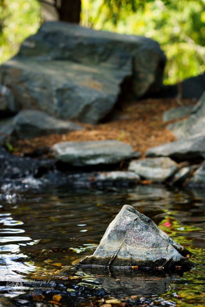A close-up photograph of a jagged rock emerging from a calm, rippling stream. The rock is textured with natural hues of grey and soft pink. In the background, larger rocks and dry earth are softly blurred, drawing attention to the peaceful foreground. Sunlight subtly highlights the water’s surface and the rock’s edges, creating a tranquil, nature-focused scene.
