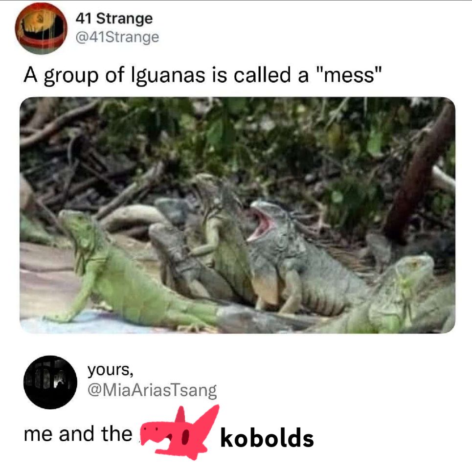 social media post
OP @41Strange "A group of Iguanas is called a 'mess'" followed by a picture of six or more iguanas in their natural environment with rocks, green leaves, sticks and possibly sand. Emphasis is on the middle iguana with their mouth wide open implying mischief

Reply post is "yours" @MiaAriasTsang saying "me and the" but the post is then edited by me and it says "kobolds" with a derpy open mouthed kobold head emoji