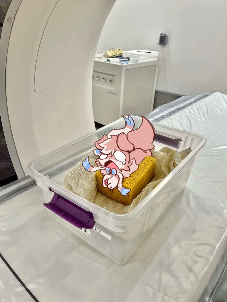 Catscanned