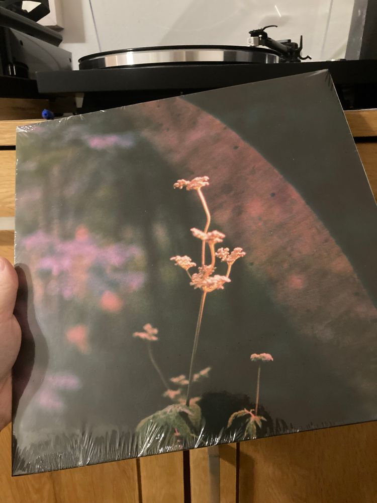 A vinyl album in my hand. Saine: Here, at Last. Turntable in the background. 