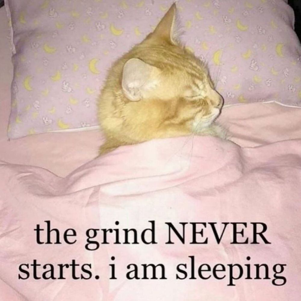 Photo of a cat under a blanket with their head on a little pillow. The caption says ‘the grind NEVER starts. i am sleeping’