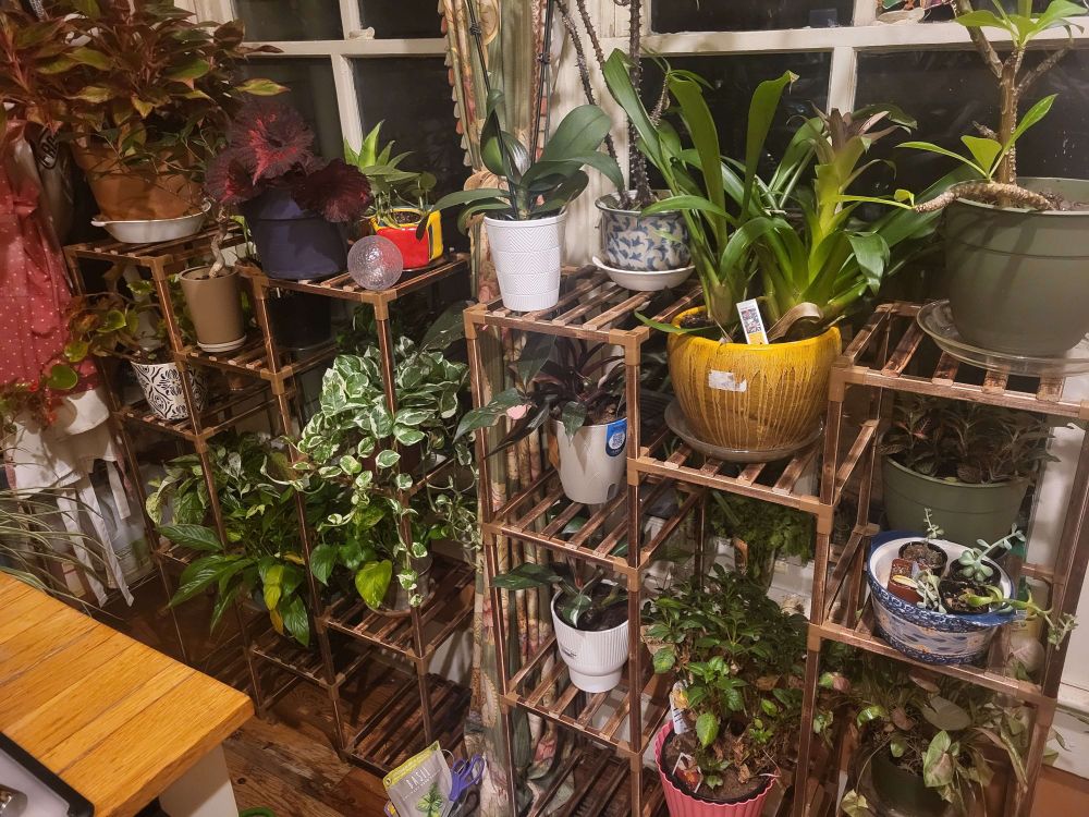 Various house plans on stands in the kitchen.