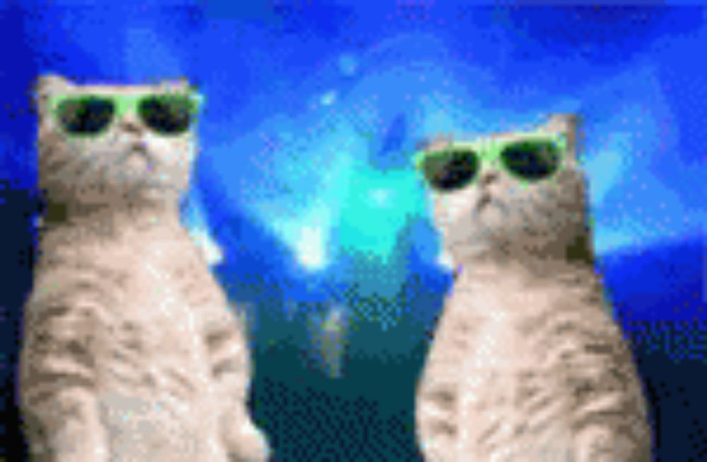 two cats wearing sunglasses are standing next to each other in front of a blue background