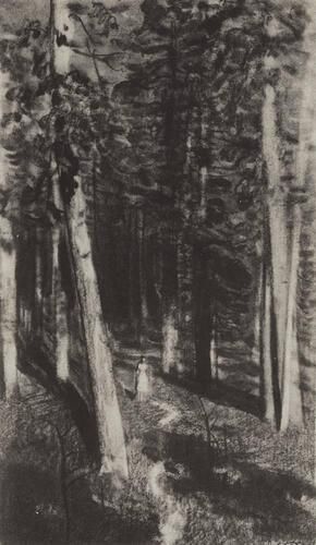 In the forest