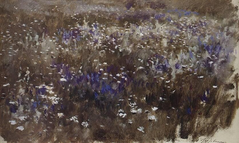 Flowery meadow