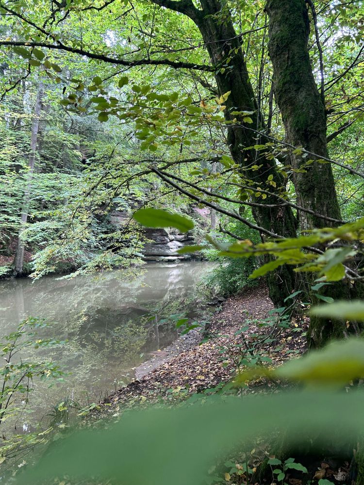 Ein ruhig fließender Fluss in einer Wald- und Felsenlandschaft.