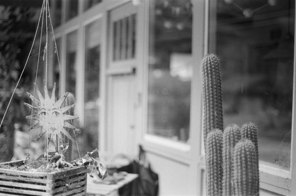 Black and white film photo of a hanging planter box with dead leaves. There is a metallic sun with a face suspended above the box. To the right of the frame is a cactus. The background is out of focus, but shows the entryway to a house.