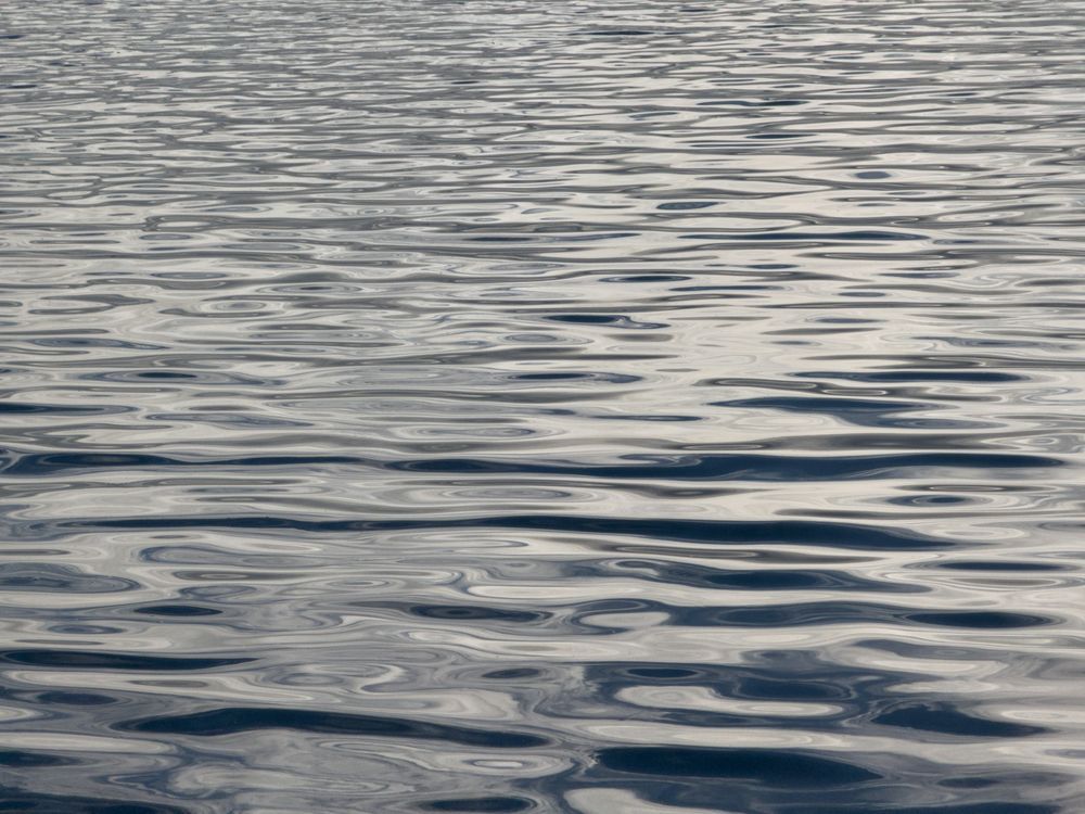 Photograph of evening light reflecting off the intricate ripples on the surface of a pond.