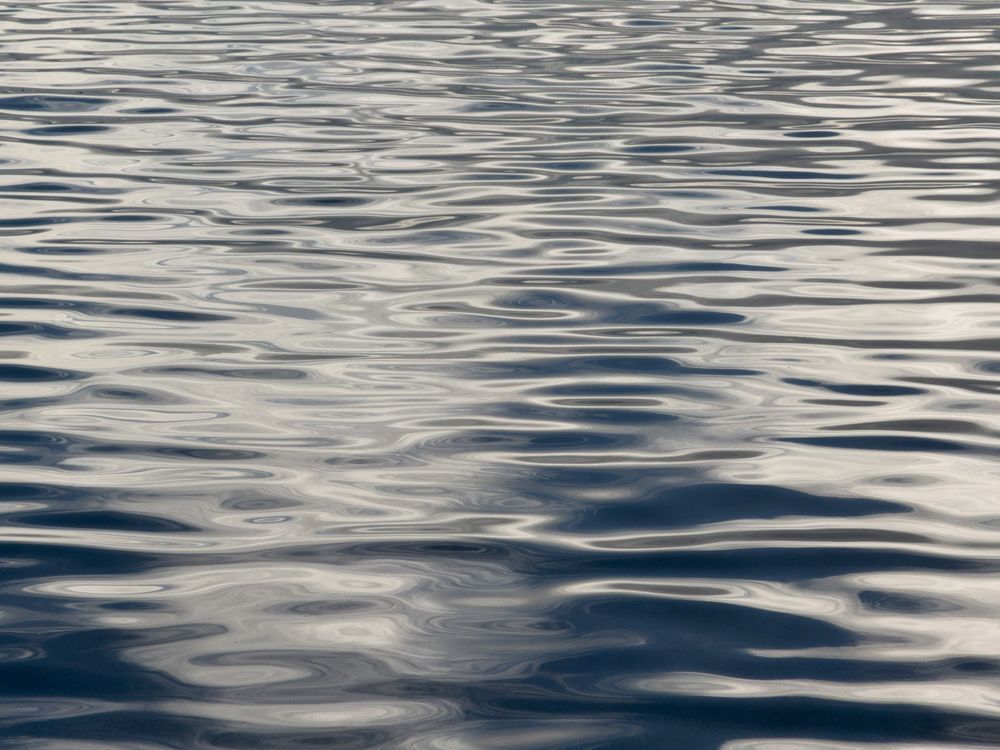 A different variation. A photograph of evening light reflecting off the intricate ripples on the surface of a pond.