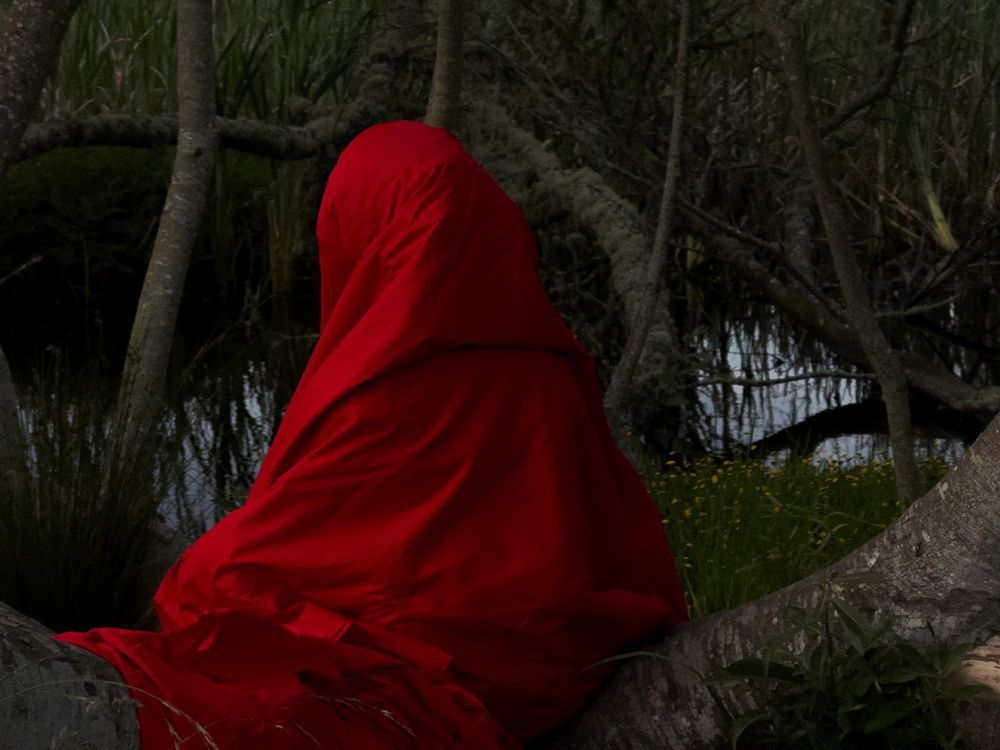 Photograph of a figure robed in a red cloak sitting on a branch above a pond.