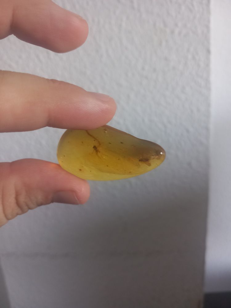 Piece of amber held in hand